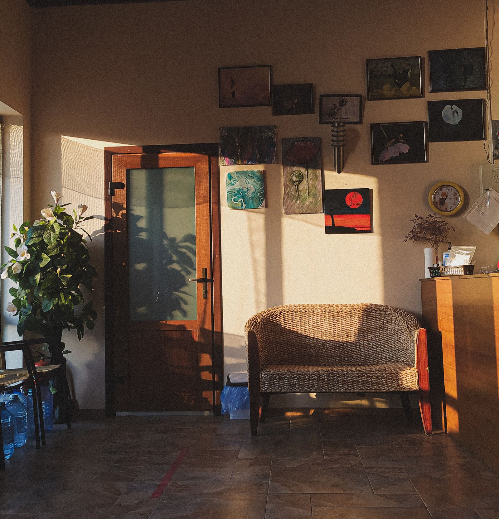 A small reception waiting area with a bench, a plant and a counter of leaflets.
